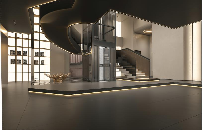 VILLUX別墅電梯丨讓你震驚的家長什么模樣？